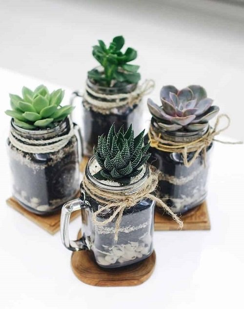 Fantastic Ideas on Succulents Planted in the Kitchen Items 7
