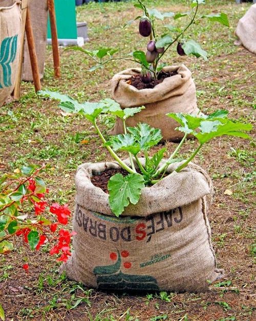 Burlap Projects for the Garden 7