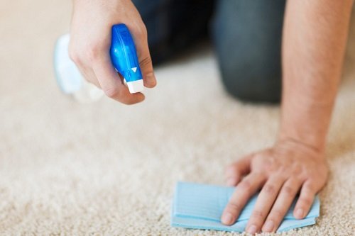 Remove Sap from carpets