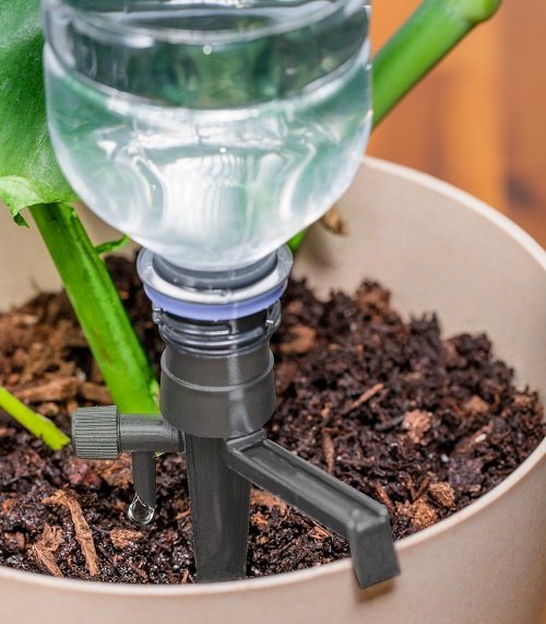 Indoor Plant Watering Tricks 9