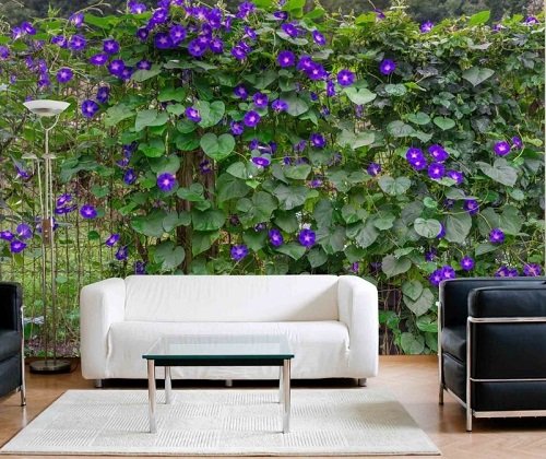 Tall Plants for Balcony Privacy 5