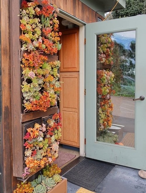 Colorful Succulent Wall Entrance