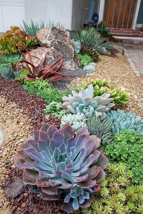 Beautiful Succulent Bed at the Entrance
