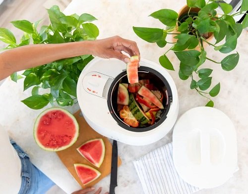 13 Things that Come from Your Blender that Can Fertilize Your Plants 7