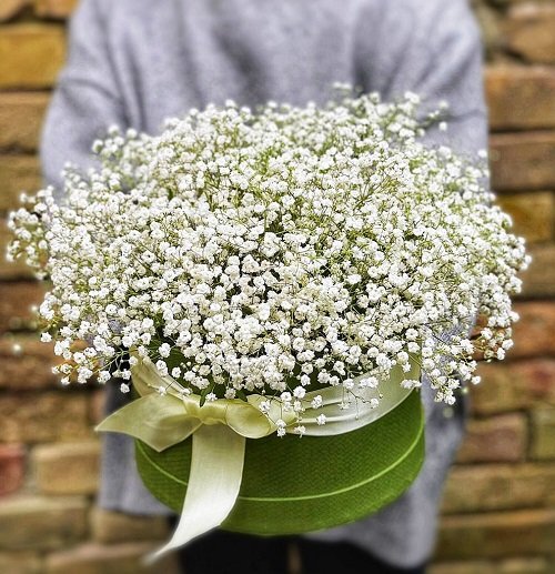 White Flowers for Funerals 3