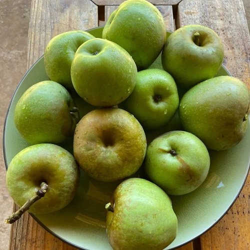Different Types of Green Apple Varieties 1