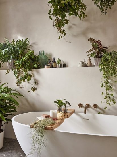 22 Best Shower Plants | Plants to Keep in Shower