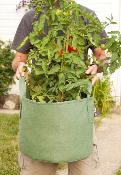 Vegetable Plant Pouch to Hang Anywhere in the Patio
