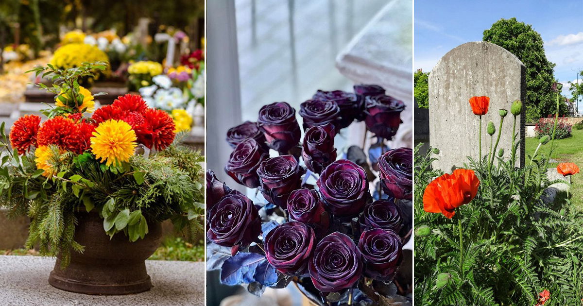 13 Flowers that Represent Death Flowers that Symbolize Death