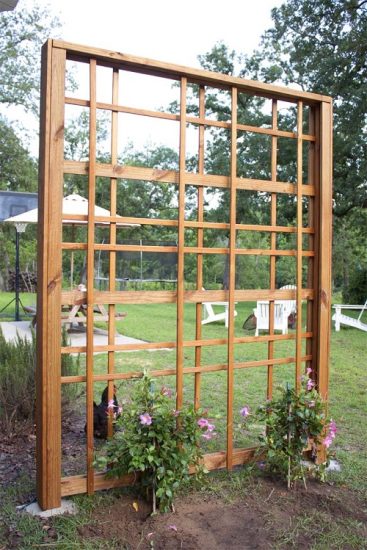 26 Easy and Cool DIY Bean Trellis Ideas | Balcony Garden Web