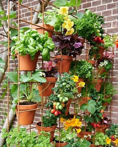 Patio Vegetable Garden Ideas 13