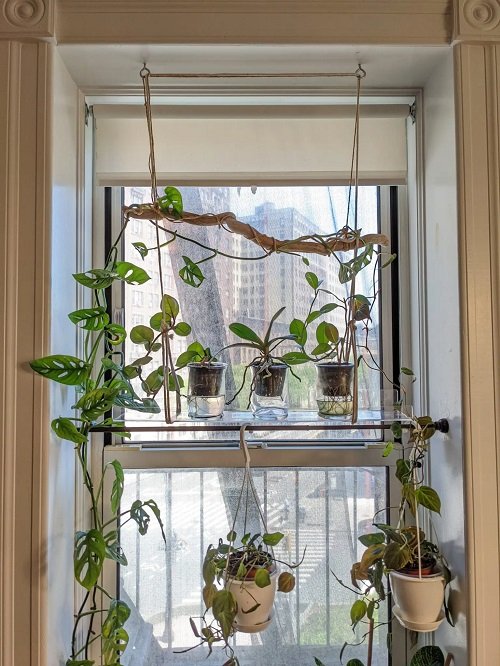 Windowsill Extension Ideas for Growing More Plants