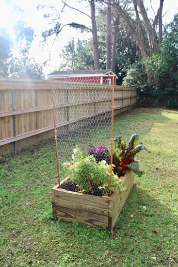 26 Easy And Cool Diy Bean Trellis Ideas Balcony Garden Web 7643