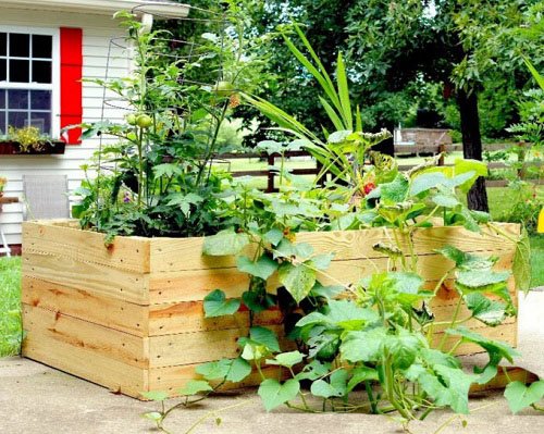 Patio Vegetable Garden Ideas 21
