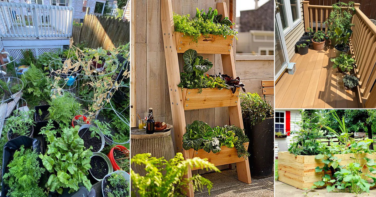 22 Practical Patio Vegetable Garden Ideas | Balcony Garden Web