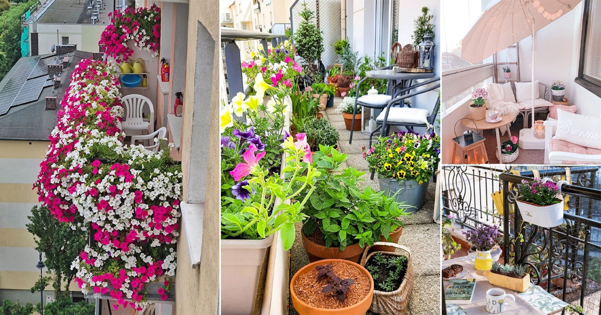 Summer Balcony Garden Ideas From Instagram