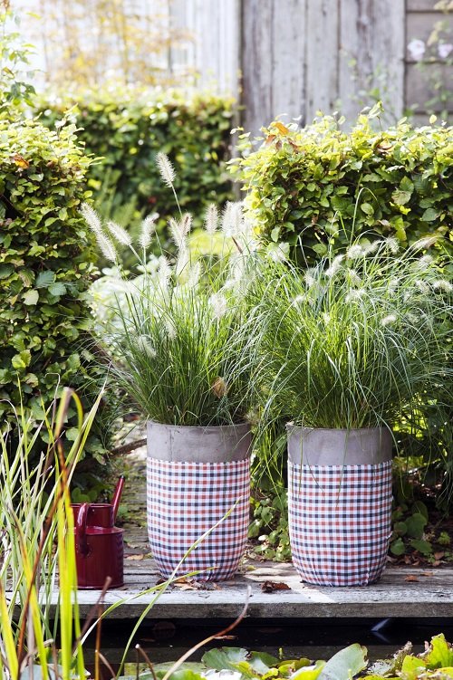 Tall Grass Privacy Ideas You Must Try 23