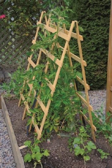 26 Easy and Cool DIY Bean Trellis Ideas | Balcony Garden Web