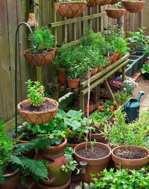 Patio Vegetable Garden Ideas 3
