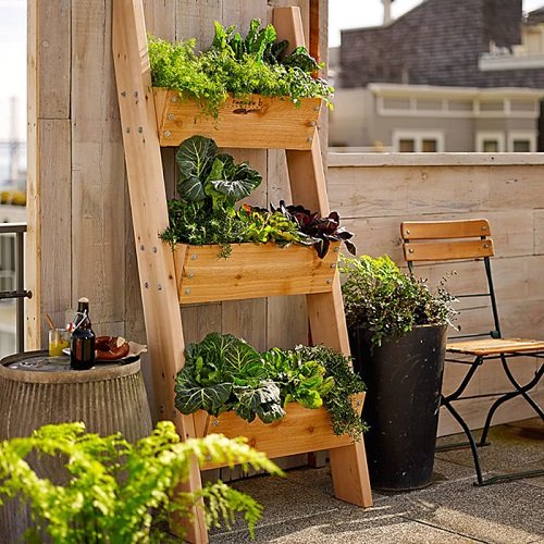 Patio Vegetable Garden Ideas 5