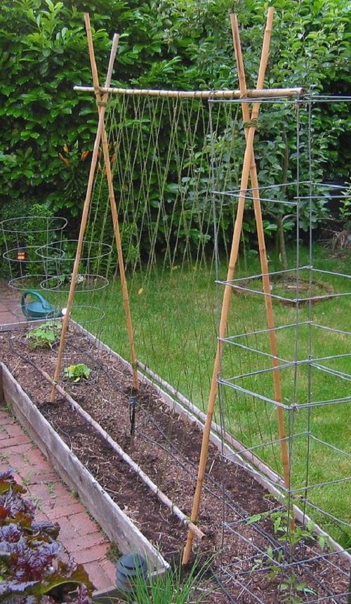 26 Easy And Cool Diy Bean Trellis Ideas Balcony Garden Web