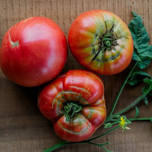 Tomatoes For Sandwiches 12