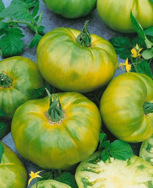 top Best Tomatoes for Sandwiches