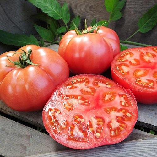 Tomatoes For Sandwiches 18