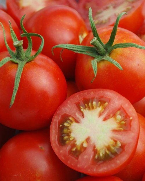beautiful Best Tomatoes for Sandwiches