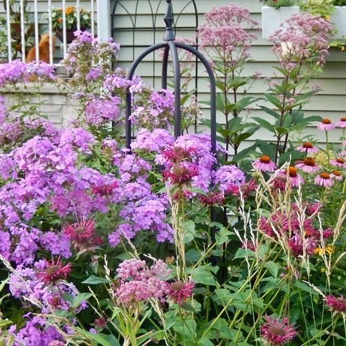 25 Unique Plant Support Ideas You Must Try 12