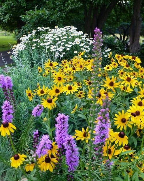 lovely Stunning Perennial Combinations