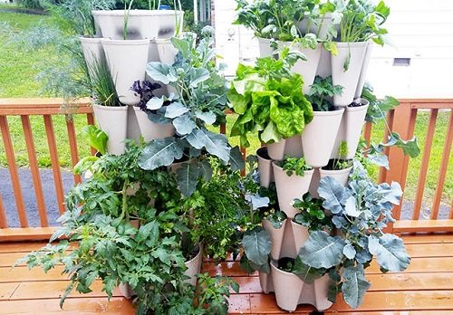 Vegetable Garden Towers for Patio