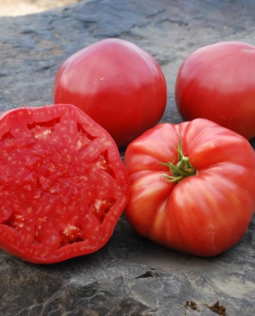 World Best Tomatoes for Sandwiches list 