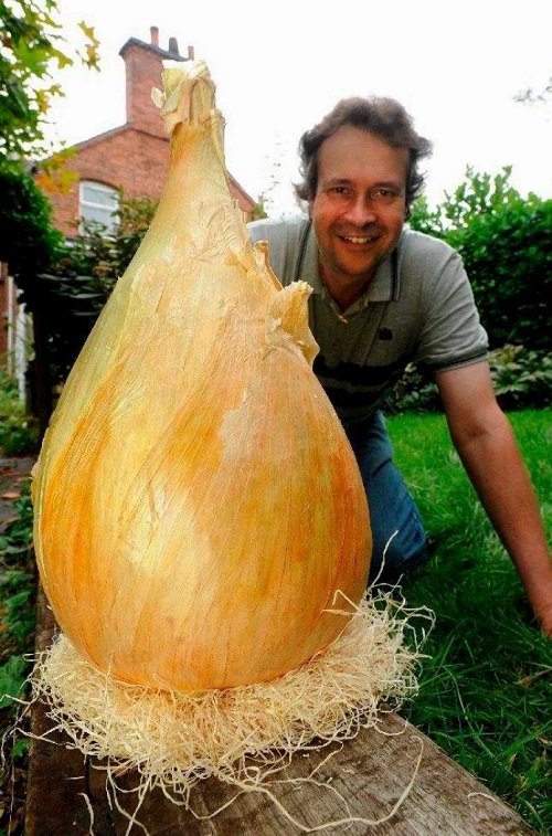 World's Biggest Onion