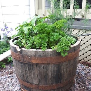 31 Fantastic Whiskey Barrel Planter Ideas + How To Make a Whiskey ...