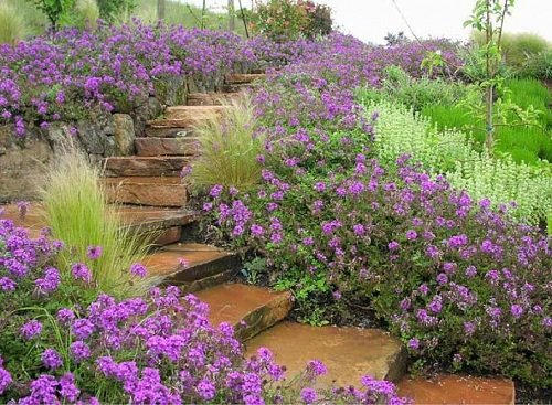 Stunning Perennial Combinations in stairs