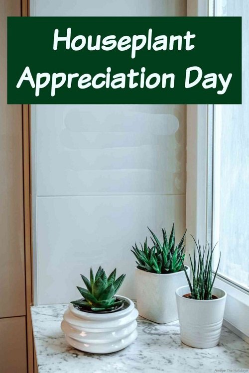 What and When is National Houseplant Day 2