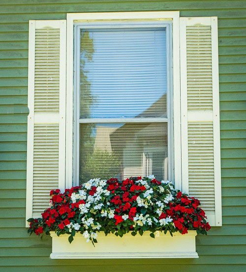 Window Boxes that you can grow in a small space