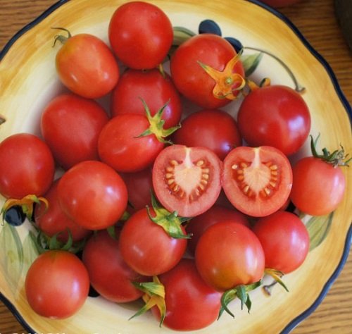 Tomatoes For Sandwiches 39