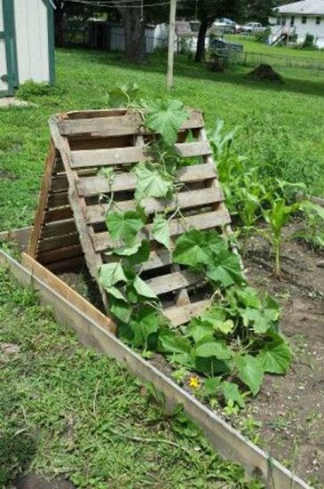 26 Easy and Cool DIY Bean Trellis Ideas | Balcony Garden Web