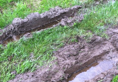 How to Fix Hydrophobic Soil 4