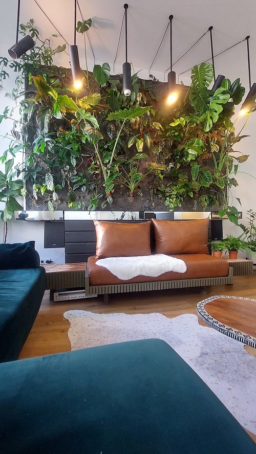 Wall Behind Sofa Decor Ideas with Plants 1