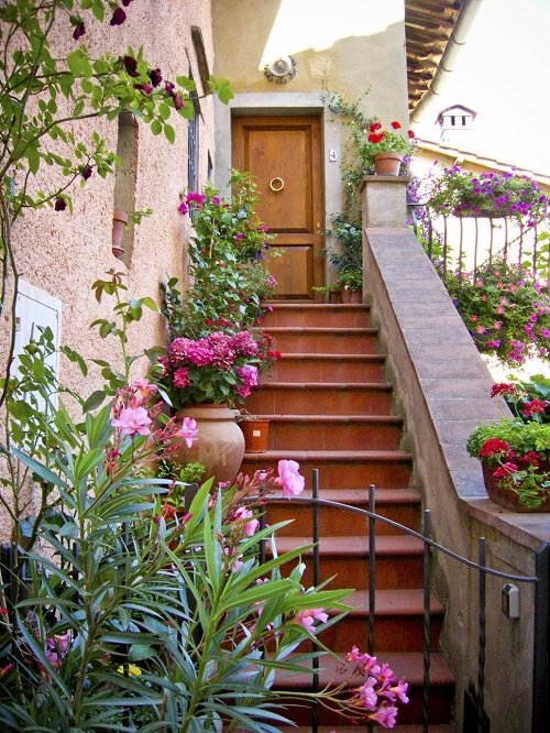 Plants on Steps and Staircase 11