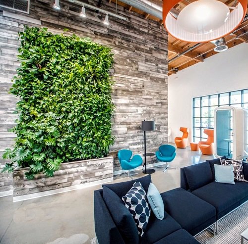 Wall Behind Sofa Decor Ideas with Plants 5