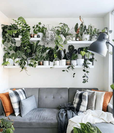 18 Wall Behind Sofa Decor Ideas with Plants | Over the Sofa Wall Ideas