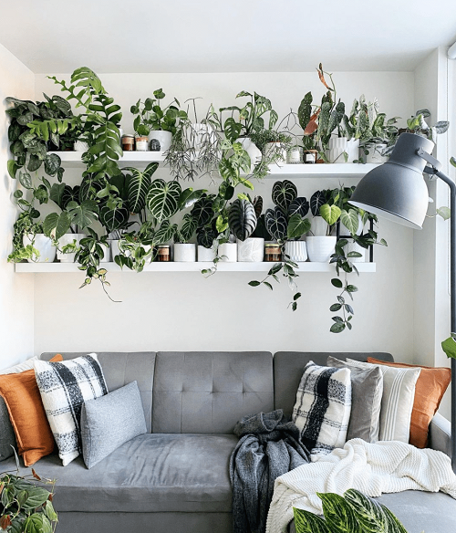 Amazing Wall Behind Sofa Decor Ideas 