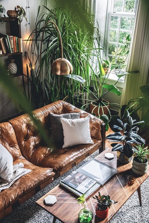 Wall Behind Sofa Decor Ideas with Plants 7