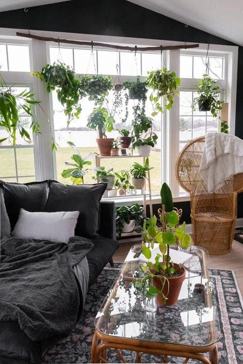 Ways to Display Plants Without a Plant Stand 23