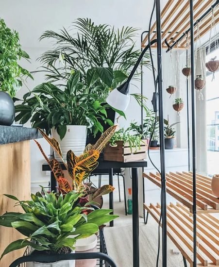 31 Ideas to Display Plants in New and Old Furniture