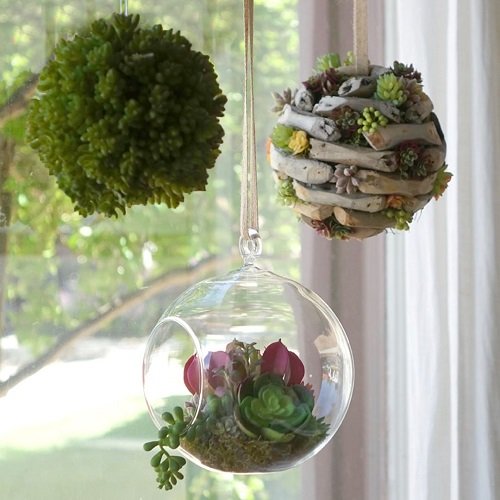  Succulent Ball Ideas 25